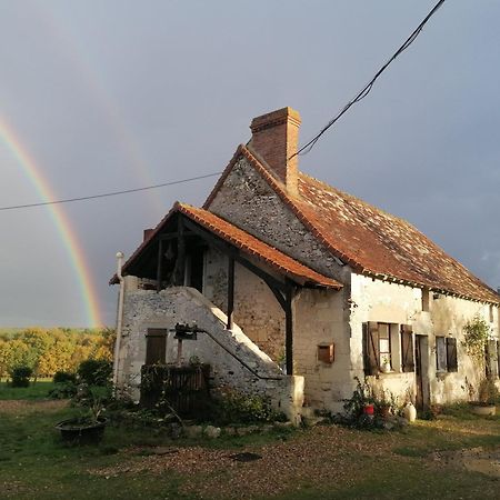 Gite 4 Pers, Jacuzzi, Piscine, Proche Futuroscope, Calme Et Nature A La Roche Posay La Roche-Posay Exterior foto
