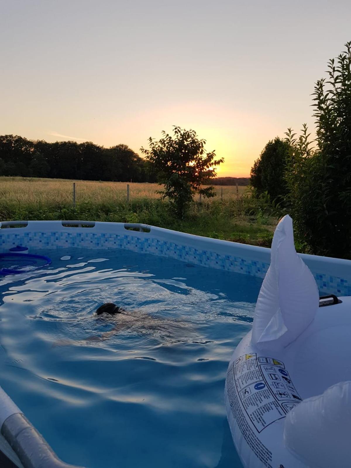 Gite 4 Pers, Jacuzzi, Piscine, Proche Futuroscope, Calme Et Nature A La Roche Posay La Roche-Posay Exterior foto