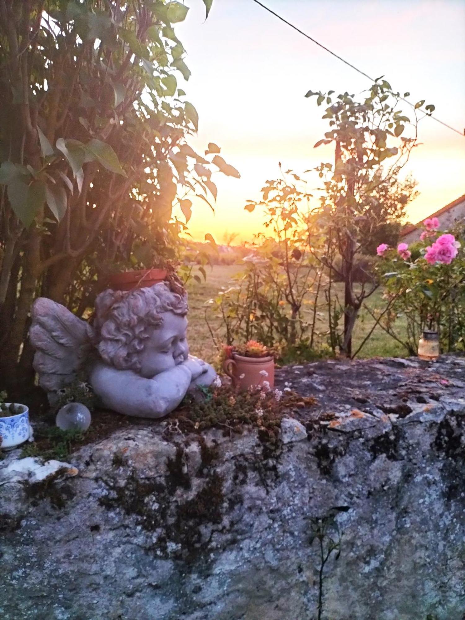 Gite 4 Pers, Jacuzzi, Piscine, Proche Futuroscope, Calme Et Nature A La Roche Posay La Roche-Posay Exterior foto