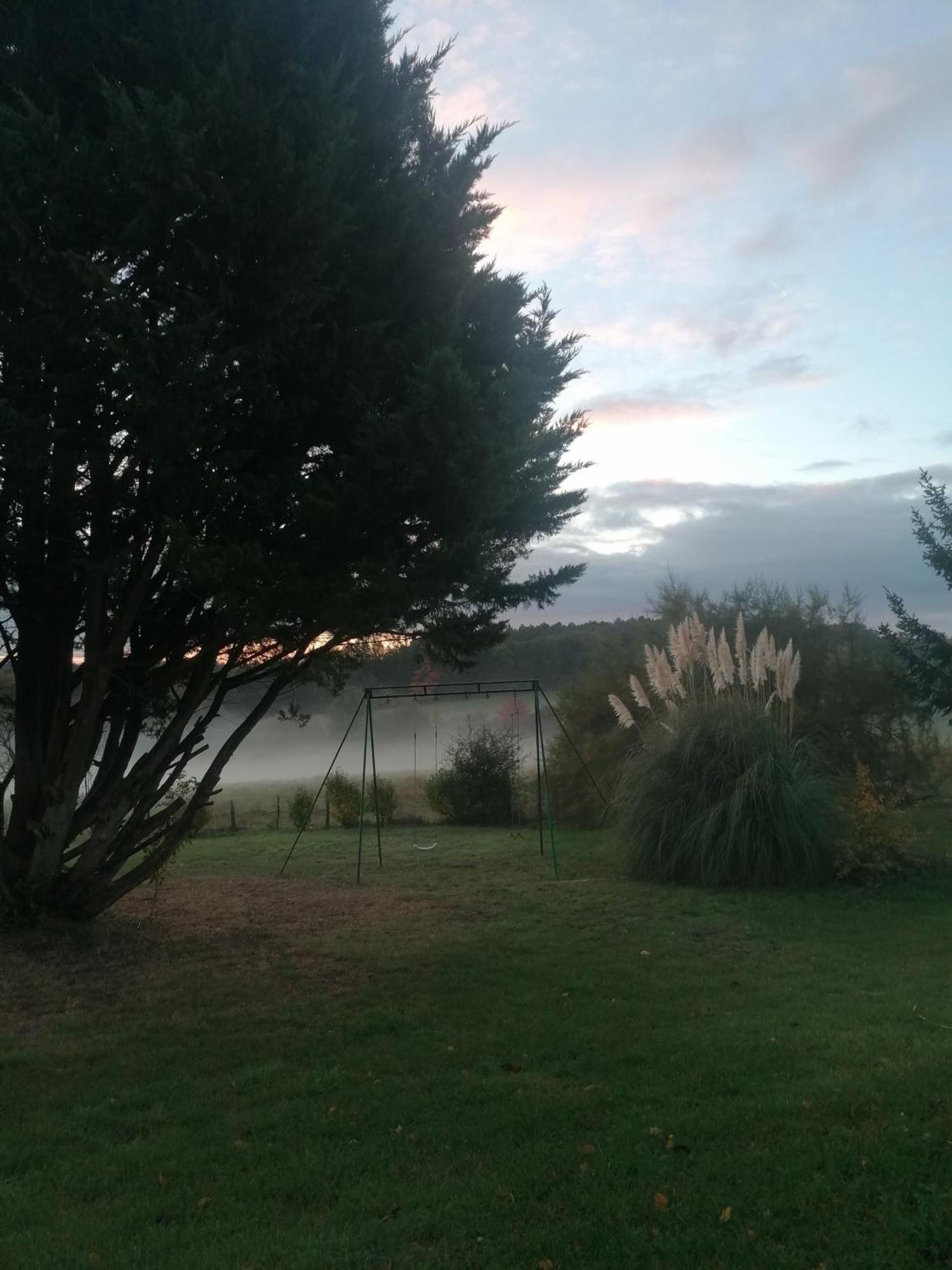 Gite 4 Pers, Jacuzzi, Piscine, Proche Futuroscope, Calme Et Nature A La Roche Posay La Roche-Posay Exterior foto