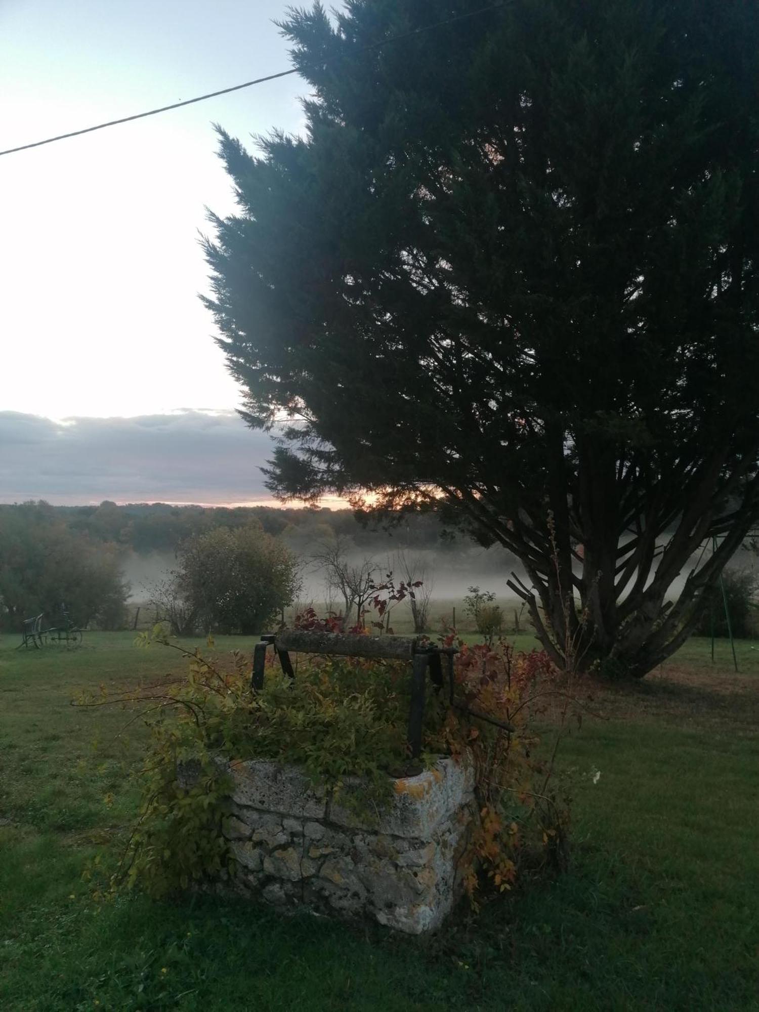 Gite 4 Pers, Jacuzzi, Piscine, Proche Futuroscope, Calme Et Nature A La Roche Posay La Roche-Posay Exterior foto