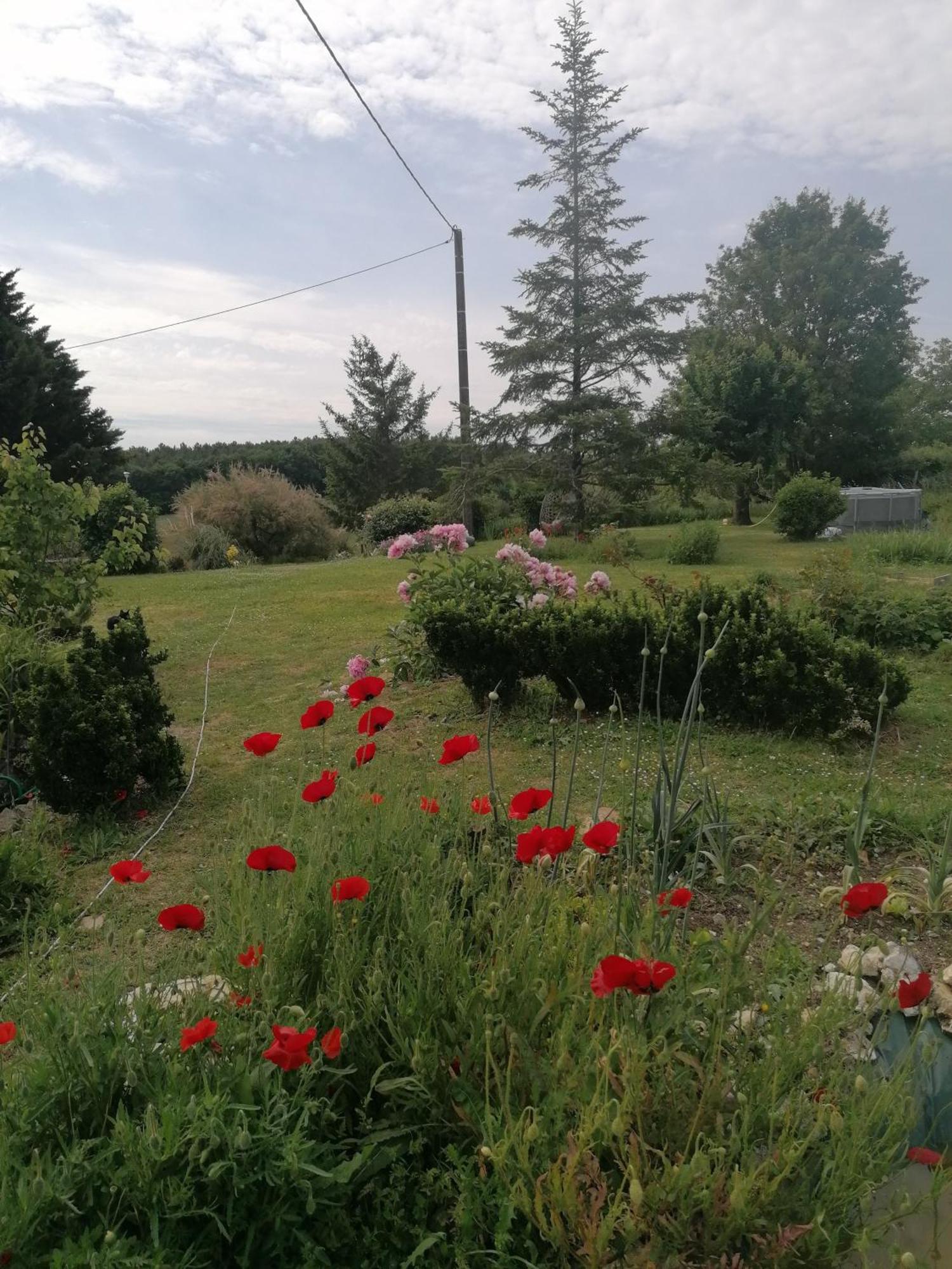 Villa Charmante Maison, Calme Et Nature A La Roche Posay Exterior foto