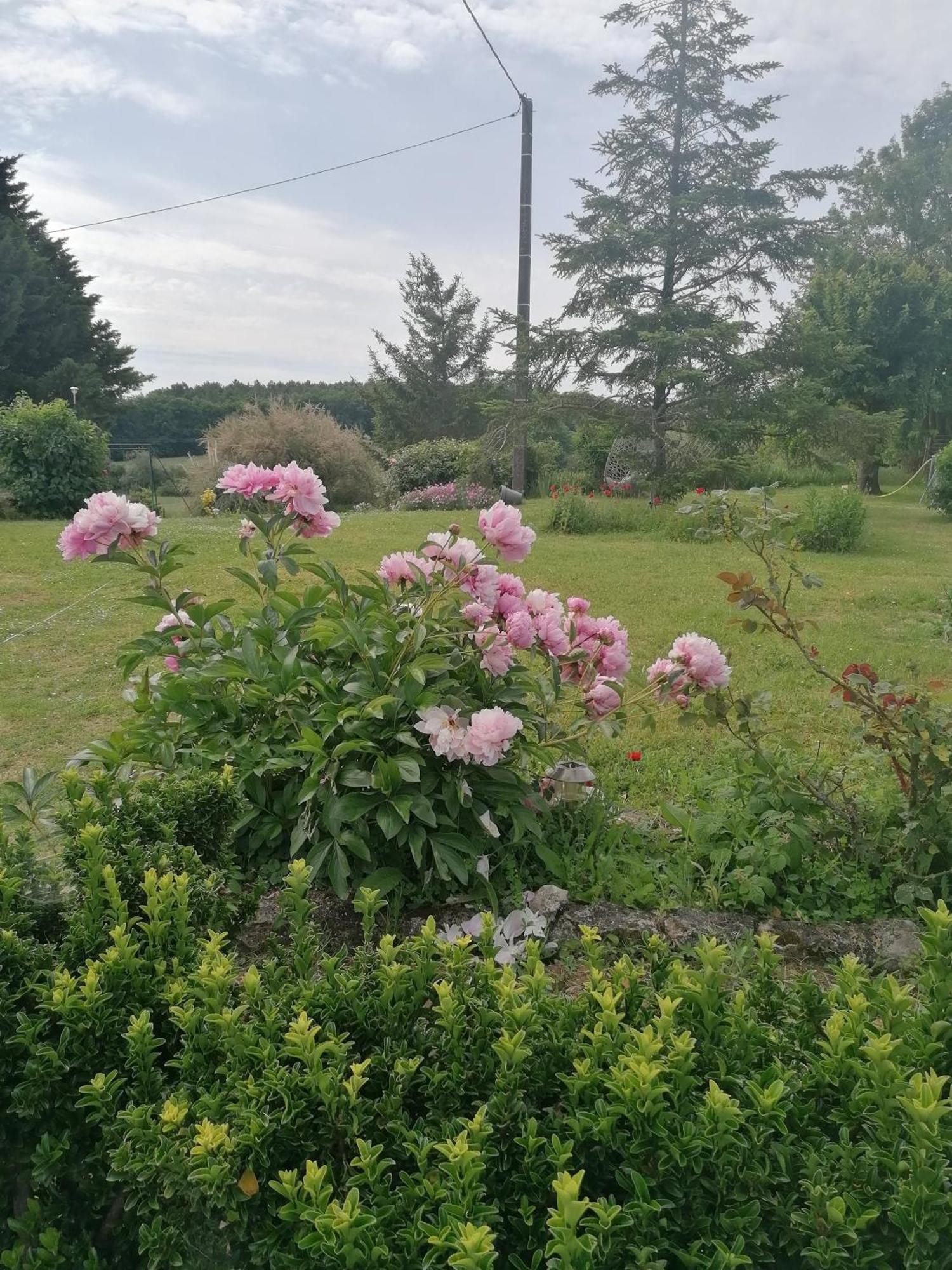 Gite 4 Pers, Jacuzzi, Piscine, Proche Futuroscope, Calme Et Nature A La Roche Posay La Roche-Posay Exterior foto