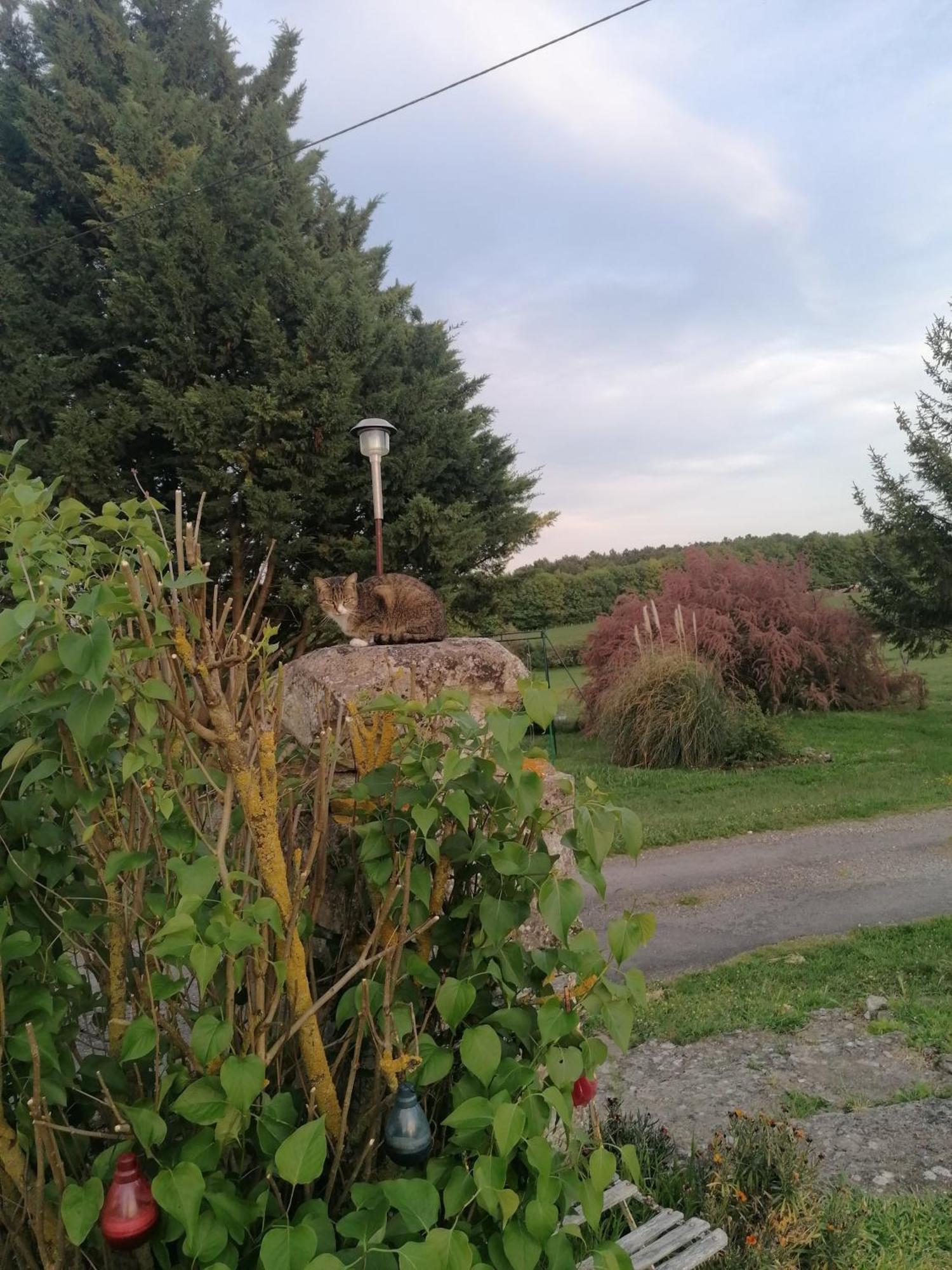 Villa Charmante Maison, Calme Et Nature A La Roche Posay Exterior foto