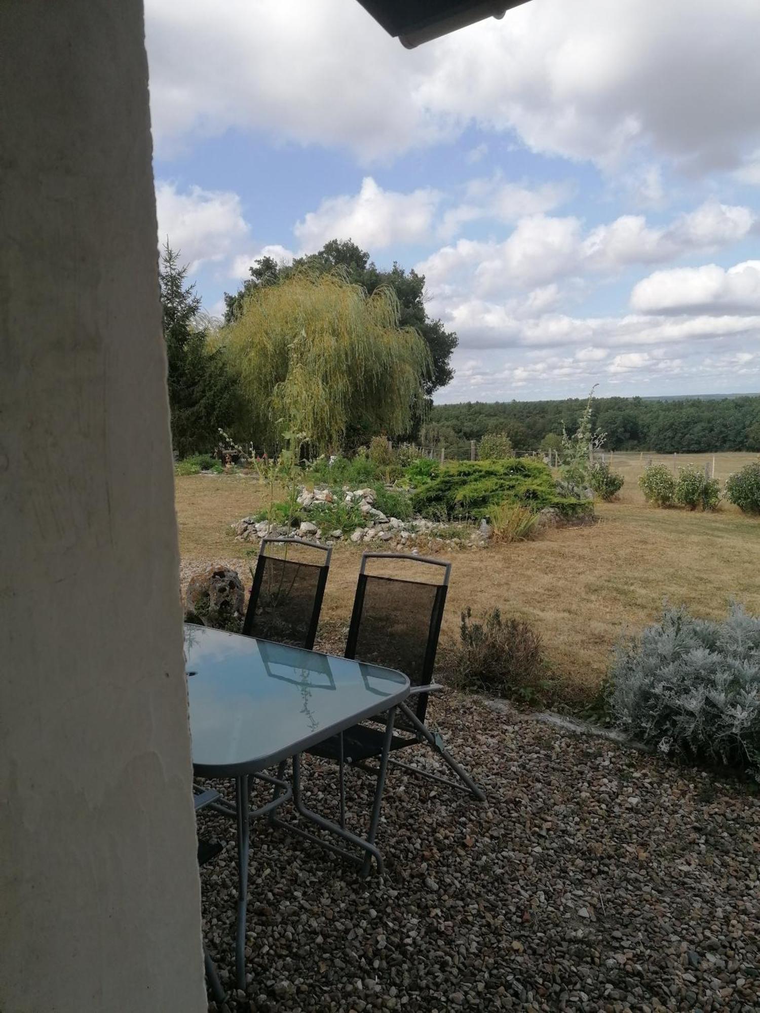 Gite 4 Pers, Jacuzzi, Piscine, Proche Futuroscope, Calme Et Nature A La Roche Posay La Roche-Posay Exterior foto