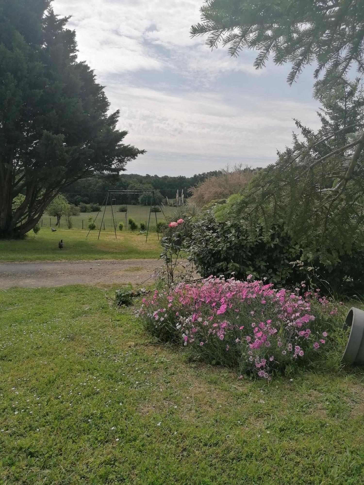 Gite 4 Pers, Jacuzzi, Piscine, Proche Futuroscope, Calme Et Nature A La Roche Posay La Roche-Posay Exterior foto